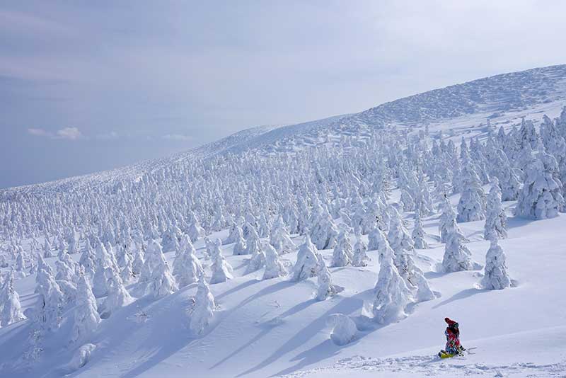 Breathtaking Zao Snow Monster Photos