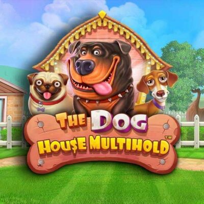 Article: "A Guide to Dog House Multihold Gameplay"