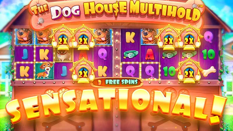 Article: "A Guide to Dog House Multihold Gameplay"