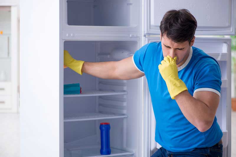 Say Goodbye to Fridge Odors: Effective Tips for a Fresh-Smelling Refrigerator